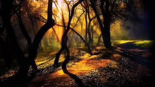 Grieg - Peace of the woods