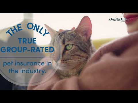 PetPartners Pet Insurance video/presentation/materials