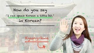 How Do You Say "I can speak Korean a little bit" In Korean? [TalkToMeInKorean]