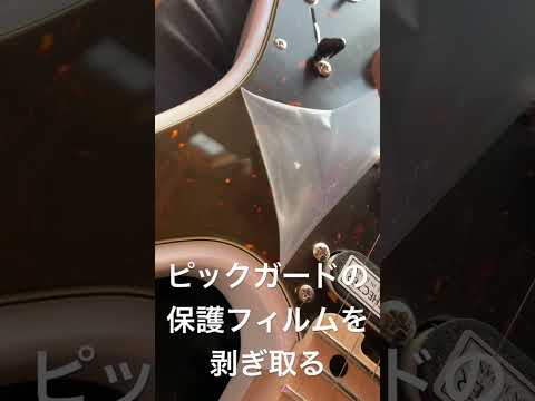 ギターのピックガードに貼られている保護フィルムを剥ぎ取る&hellip;（みんな大好きなやつ）　#schecter #guitar