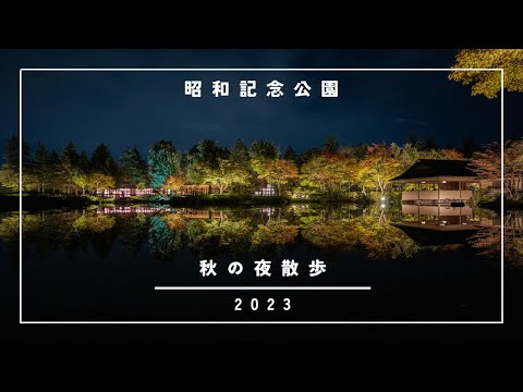 Caminhada noturna de outono no Parque Showa Kinen 2023