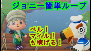 【あつ森】ジョニー高速周回、無限沸き、ついでにマイル、ベル稼ぎ【あつまれどうぶつの森】