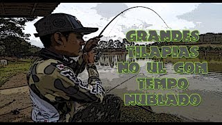 ULTRA LIGHT em dia Nublado com Tilápias e Tamba no Kiki Turismo - Pesca Por Amor