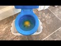 Miniature Concord Toilet Flushing An Egg