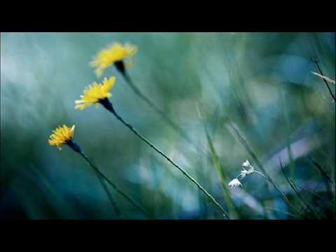 Antonio Vivaldi: Laudate pueri [psalm 112] in C minor (RV 600) - Part II