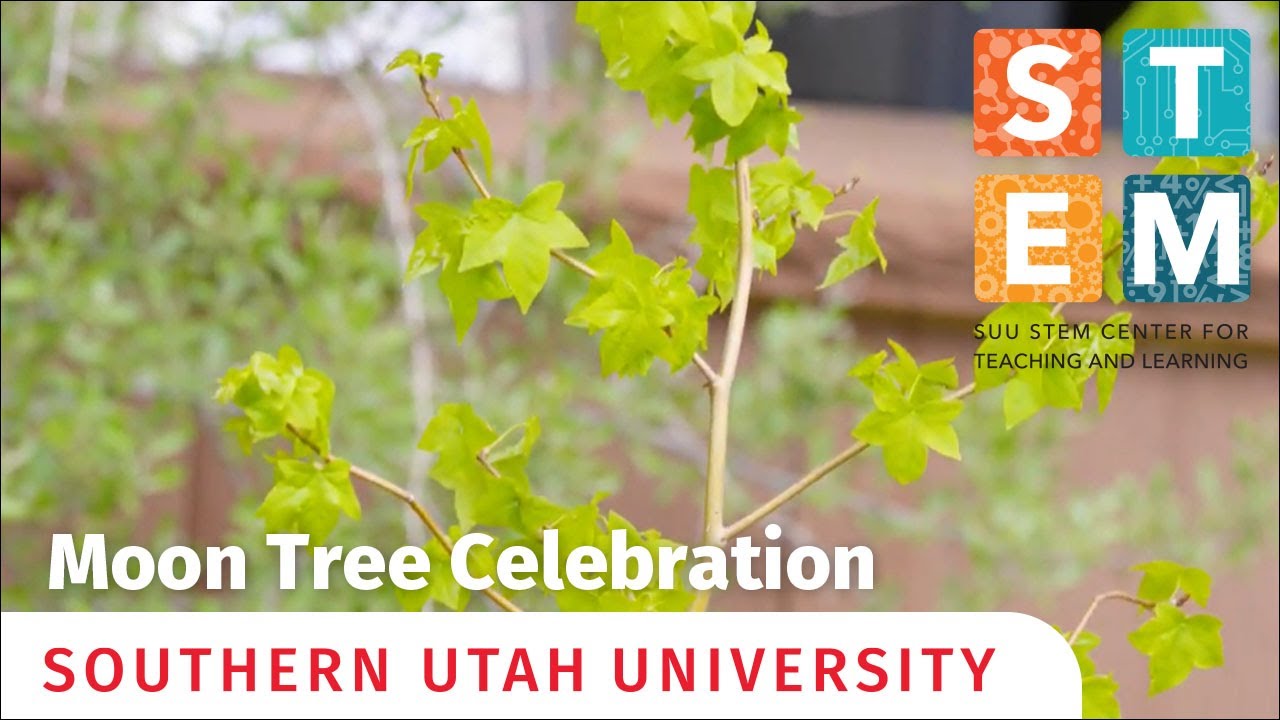 SUU STEM Center Moon Tree Celebration