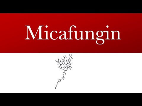 Micona Micafungin Injection