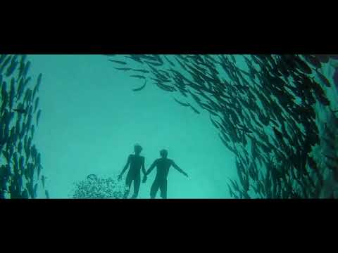 Video thumbnail for From “The Swimmers”