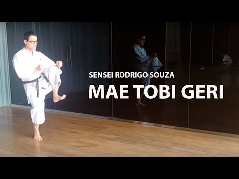 Sensei Rodrigo performing Mae Tobi Geri (Flying Front Kick)