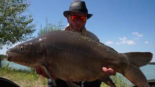 FEEDERMANIA - Vízfelszíni pontyozás feederbottal (Hosszú verzió/Long version)