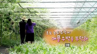 나는농부다 형씨네 애플농장