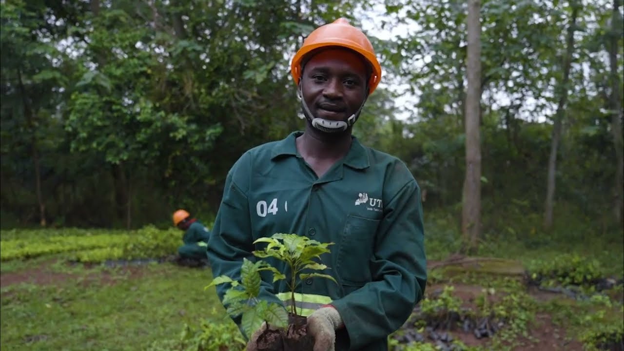 How restoration impact people