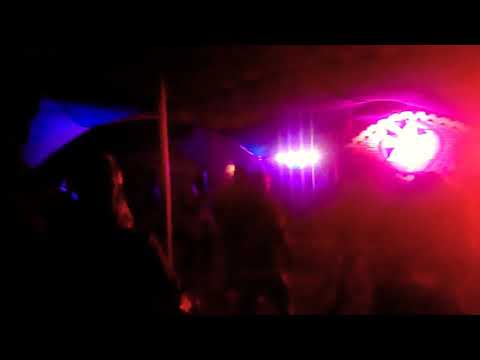 active forms,seggae (Celaya gto)