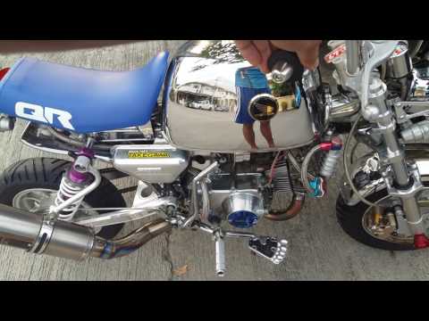 Monkey Gollira 88 cc 5j Takegawa japan