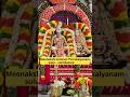 Meenakshi Amman Thirukalyanam Sulur Coimbatore Shorts Meenakshi Chithiraithiruvizha Festival