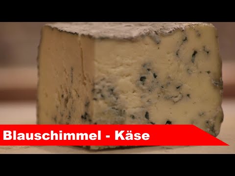 , title : '🧀 Schimmelkäse selber machen 🧀 mit Blauschimmel wie in Gorgonzola - Käse selber machen - Alles Käse'
