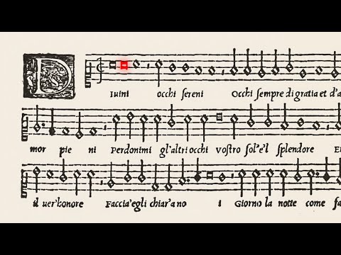 Divini occhi sereni / Philippe Verdelot