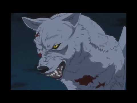 Wolf's Rain- Pain