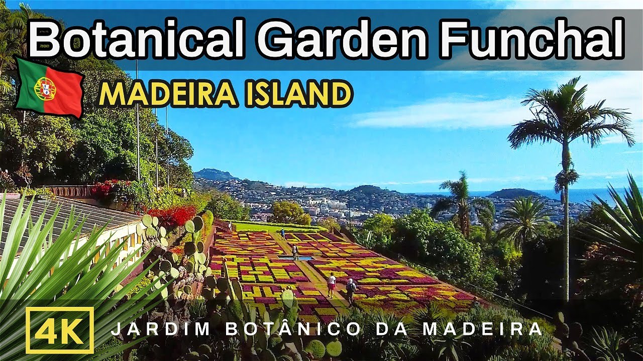 Explore Madeira Botanical Garden with this immersive walkthrough.