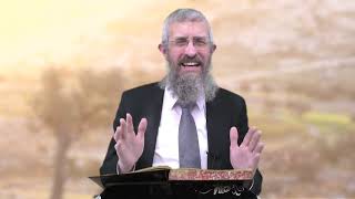 מסכת מנחות דף צה - 8 דקות של לומדות ועמקות בדרך הלימוד הישיבתית [Menachot 95]