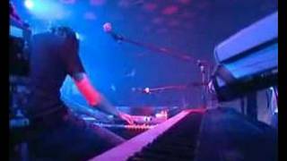 Shed Seven - Dolphin