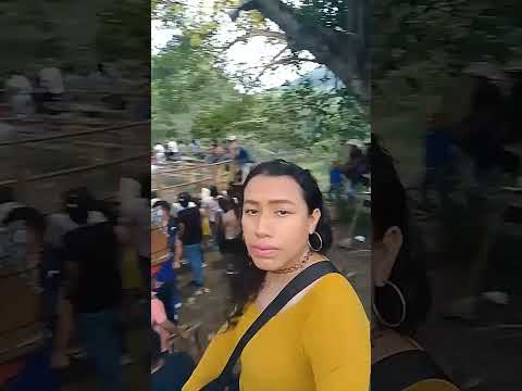 jaripeo ranchero en la comunidad del cedro Papantla Veracruz