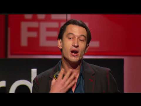 TEDxAmsterdam 2017 "One Step Beyond" Official Aftermovie