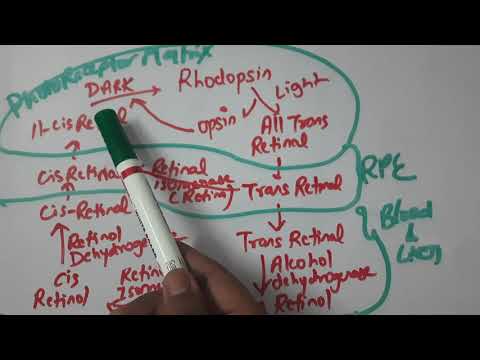 Biochemistry Vitamins Lecture for UPSC Medical science Optional