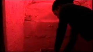 "FLIPPIN THAT"  music video [rendition] (low quality)