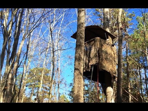 Espiadero Field & Stream 2x 18 Pies Soporte De Escalera | Mercado Libre