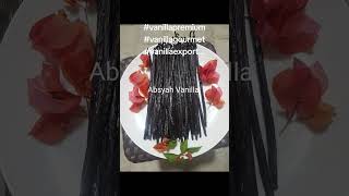 Download lagu #vanilla gourmet premium mp3