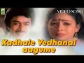 Kadhale Vedhanai aagume Video Song | Thanthai Mel Aanai Movie Songs| Arjun, Bhavya | Mayil Music