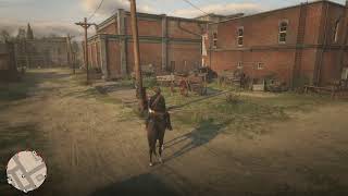 RDR2 5周目 #136