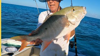 Fishing the Key Largo Patch Reefs: Mutton Snapper, Big Catches & Delicious Mutton Collar Recipe!