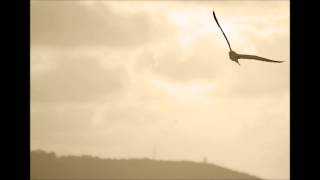 Harun Kolçak - Kal Benimle