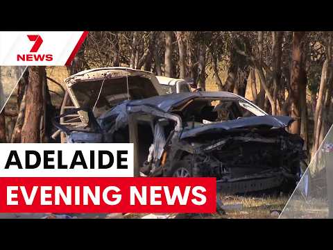 Gus Lamont search shift, armed men break in and health insurance rise | 7NEWS