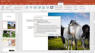 Compress all images in PowerPoint presentation at one time by Chris Menard