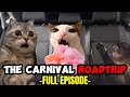 CAT MEMES: THE CARNIVAL COMPILATION + EXTRA SCENES