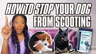 Why Your Dog Is Scooting AND Licking Themselves | Veterinary Formula Review