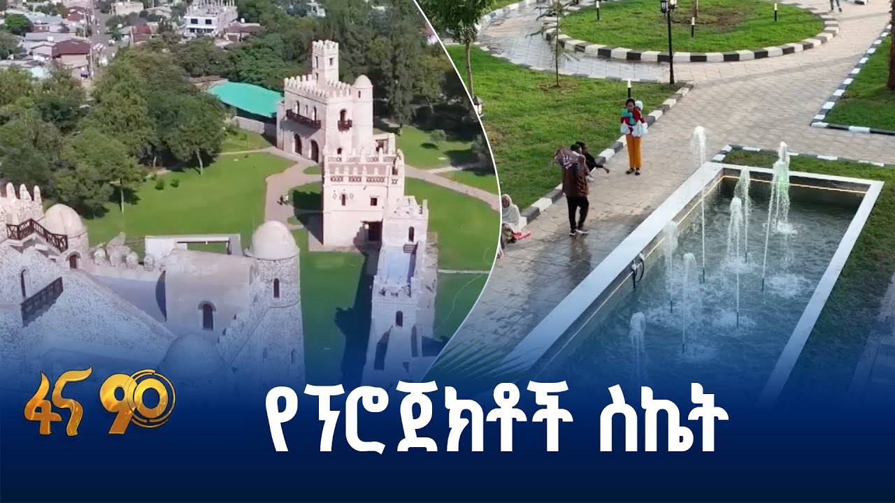 ጥያቄዎችን ከመመለስ የተሻገረ አበርክቶ