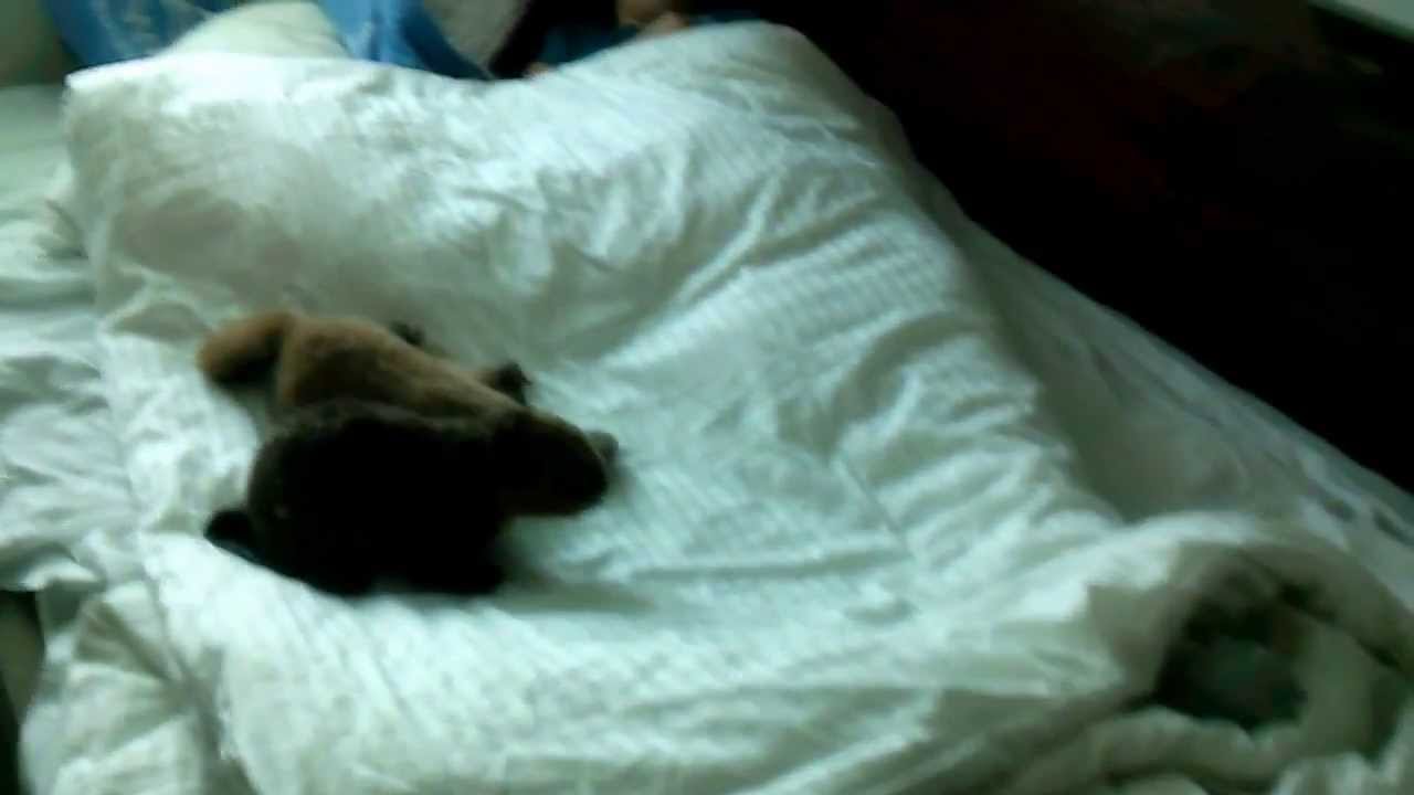 Norwegian Breakaway - Cabin 5146 - Video 1