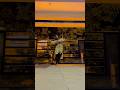 Marudhani Trendingshorts Dance Dancecover Marudhani