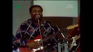 Muddy Waters - Kansas City - 1976