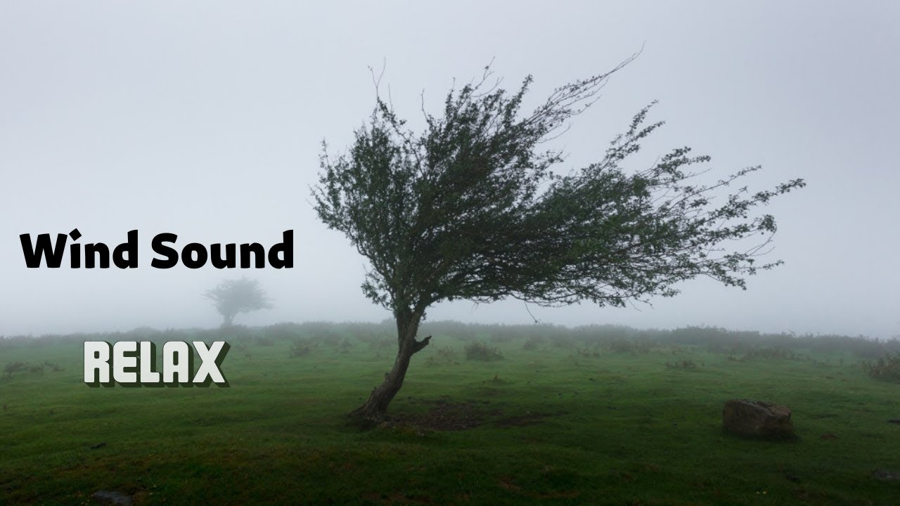 Sunetul Vantului 💨 Natura relaxanta / Muzica de relaxare a mintii si trupului