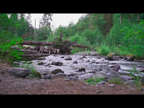 View from inside my tent