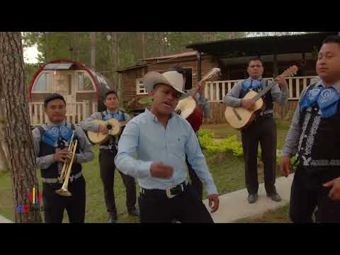 La farsante / Reynaldo Choc