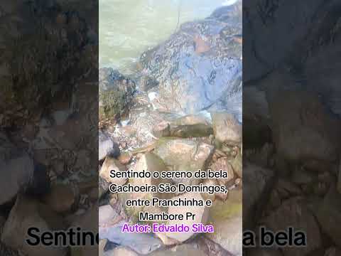 Entre Pranchinha e Mambore Pr