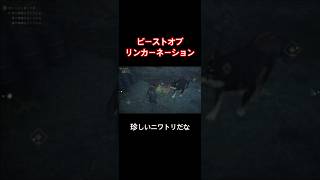珍しいニワトリだな🐔【Beast of Reincarnation】#shorts