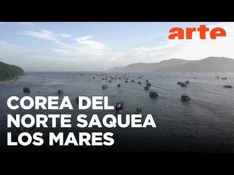 Rusia: Corea del Norte saquea sus mares | ARTE.tv Documentales
