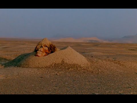 EL INCONDICIONADO DESOCULTAMIENTO [4 CORTOMETRAJES SOBRE EL HECHO DE DESAPARECER]